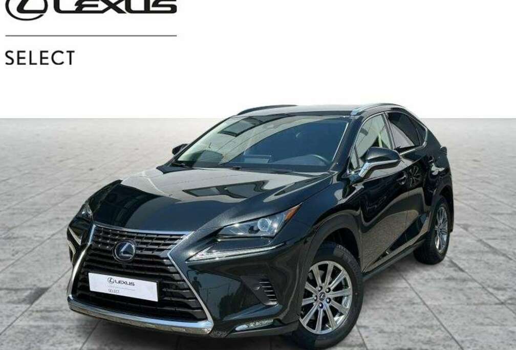 Lexus Business Line Plus