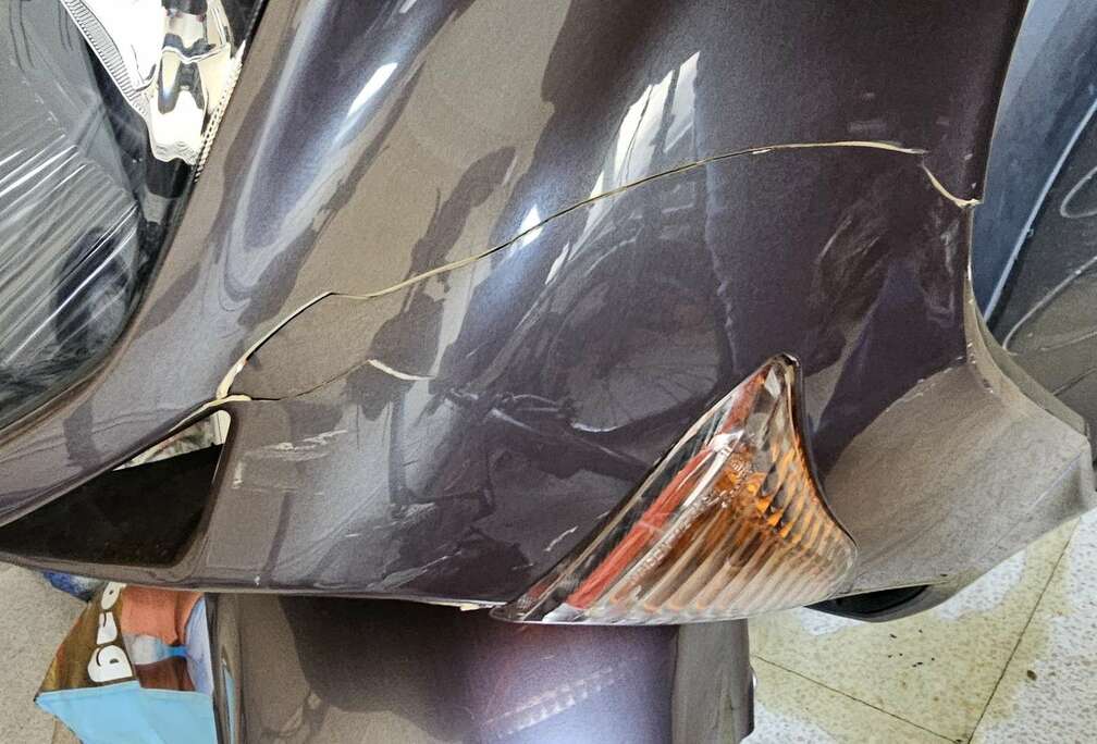 Honda Nss250x