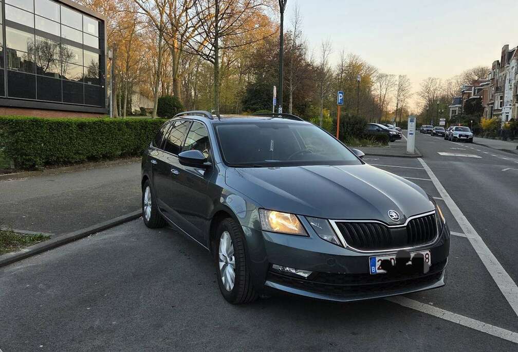 Skoda SW CNG 1.4 TSI Ambition