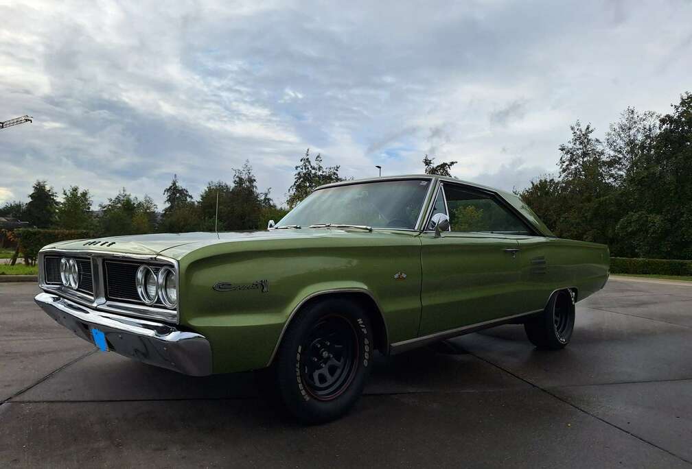 Dodge 500