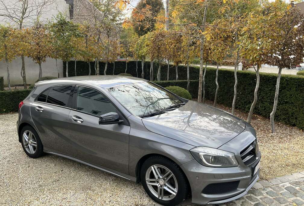 Mercedes-Benz CDI AMG  LICHTE VRACHT / Utiliaire