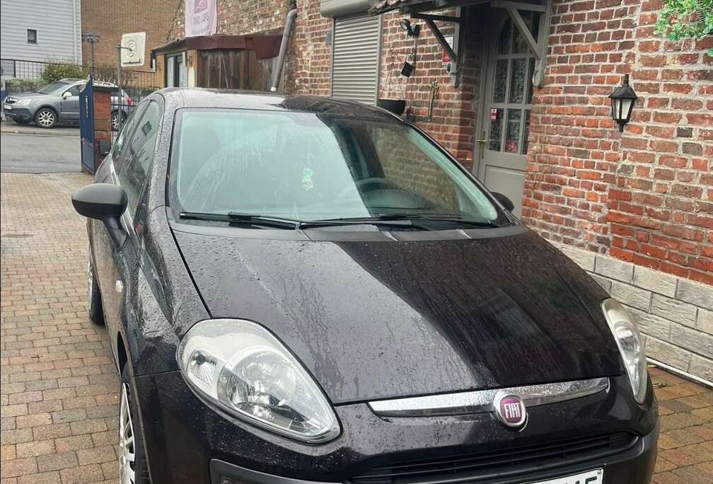 Fiat 1.3 MultiJet Dynamic