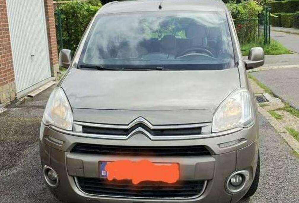 Citroen 1.9 D X