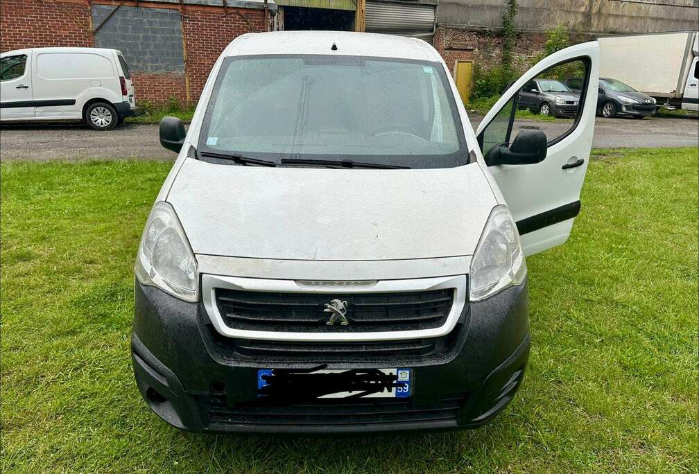 Peugeot Tepee 1.6 HDi 90ch Style