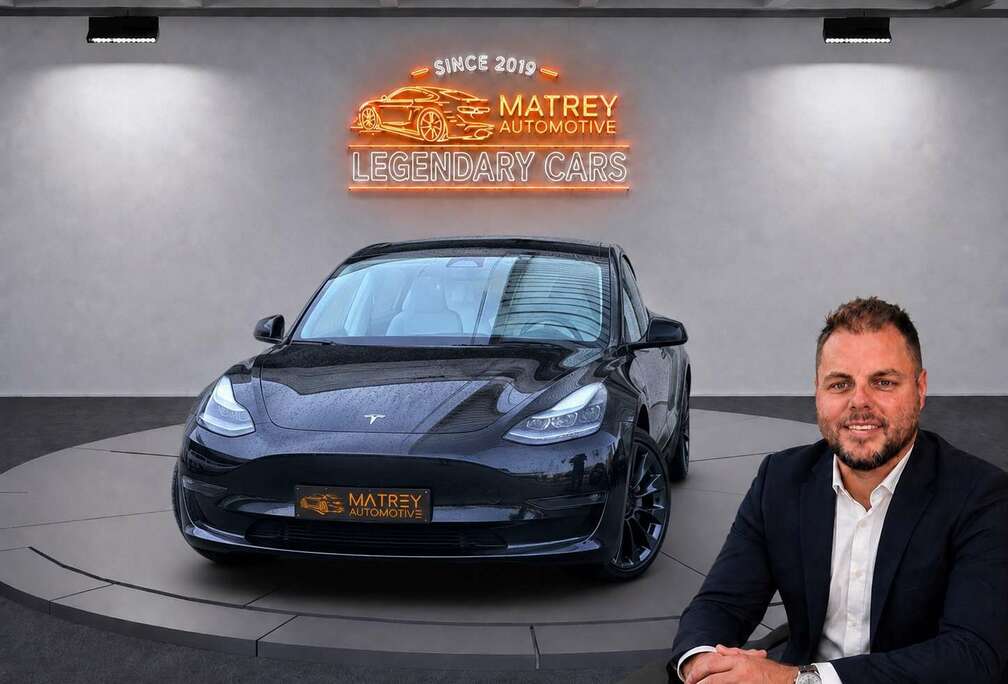 Tesla Performance*BTW*TREKHAAK*