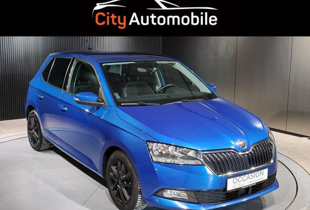 Skoda 1.0 TSI GPS CRUISE CLIM AUTO APS AR