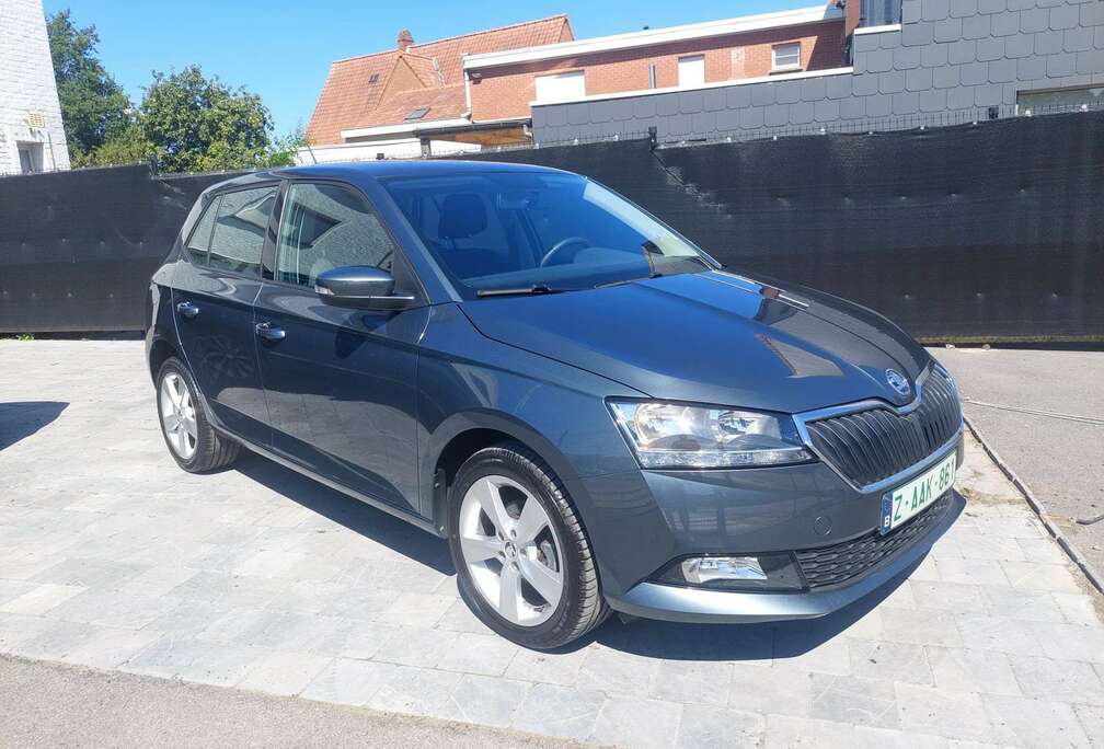 Skoda 1.0 TSI Cool Plus