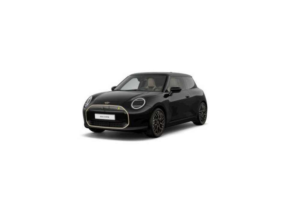 MINI Favoured Trim