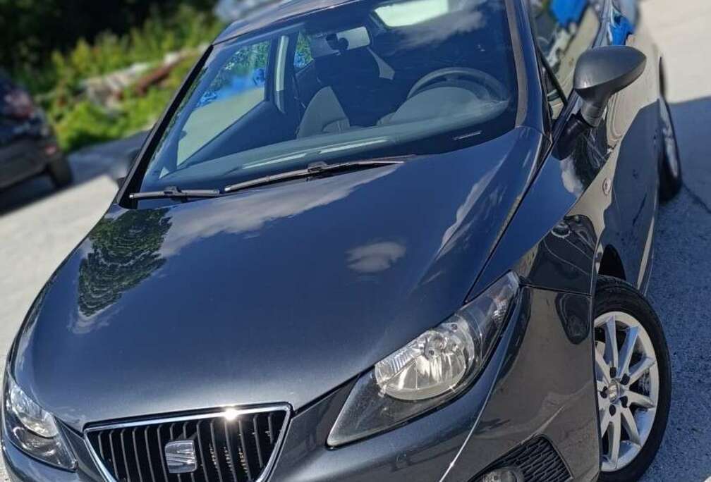 SEAT 1.4 TDI 80 FAP Ecomotive