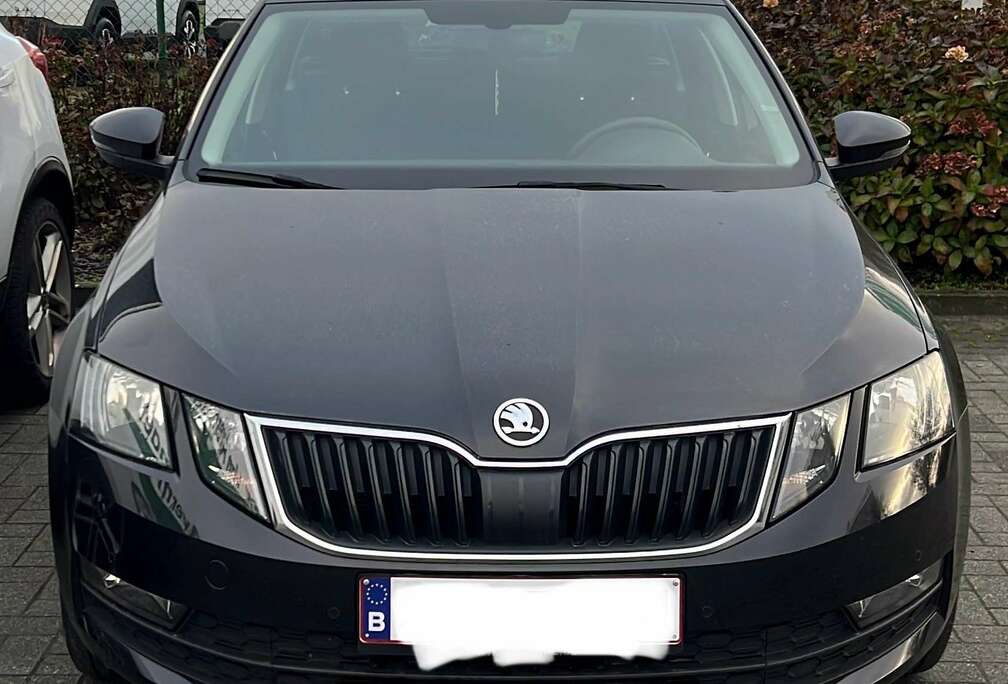 Skoda Combi 1.6 TDI Style