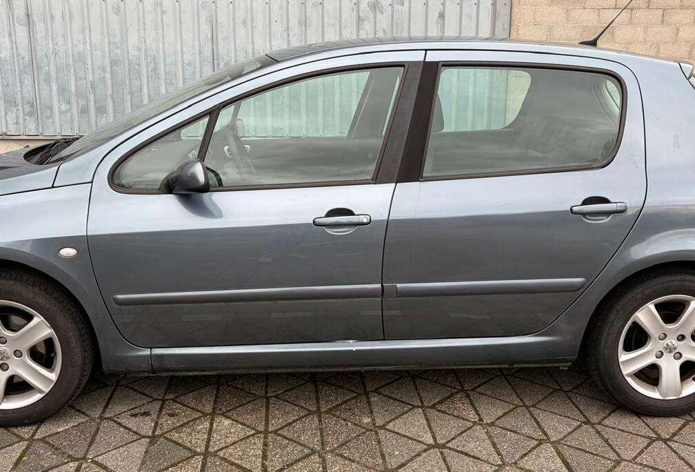 Peugeot 307 2.0i 16v XS