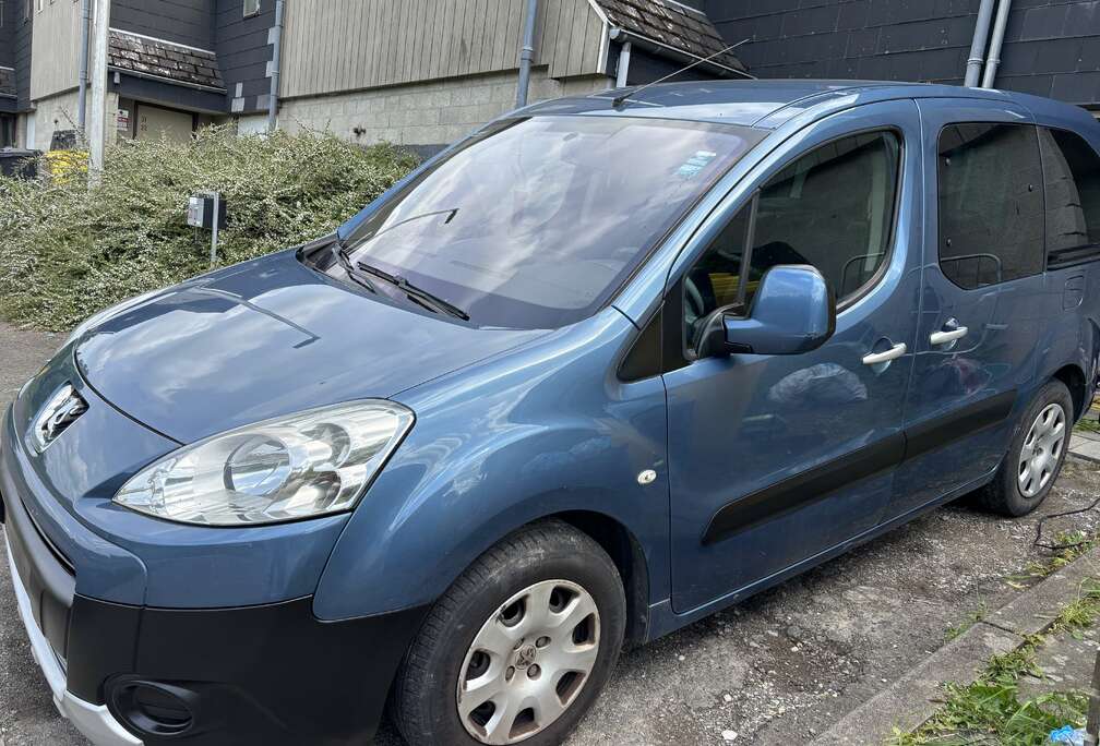 Peugeot Tepee Outdoor 1.6 HDi FAP