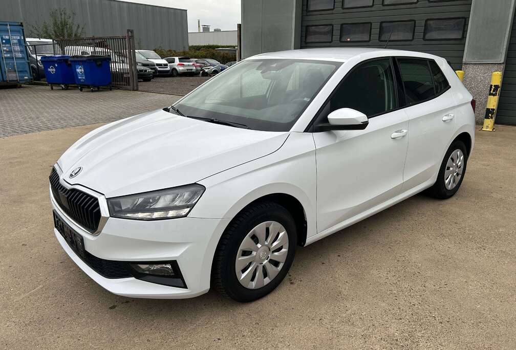 Skoda Fabia 1.0 TSI Selection DSG zeer nette wagen automaat met tal van opties zie foto\'s