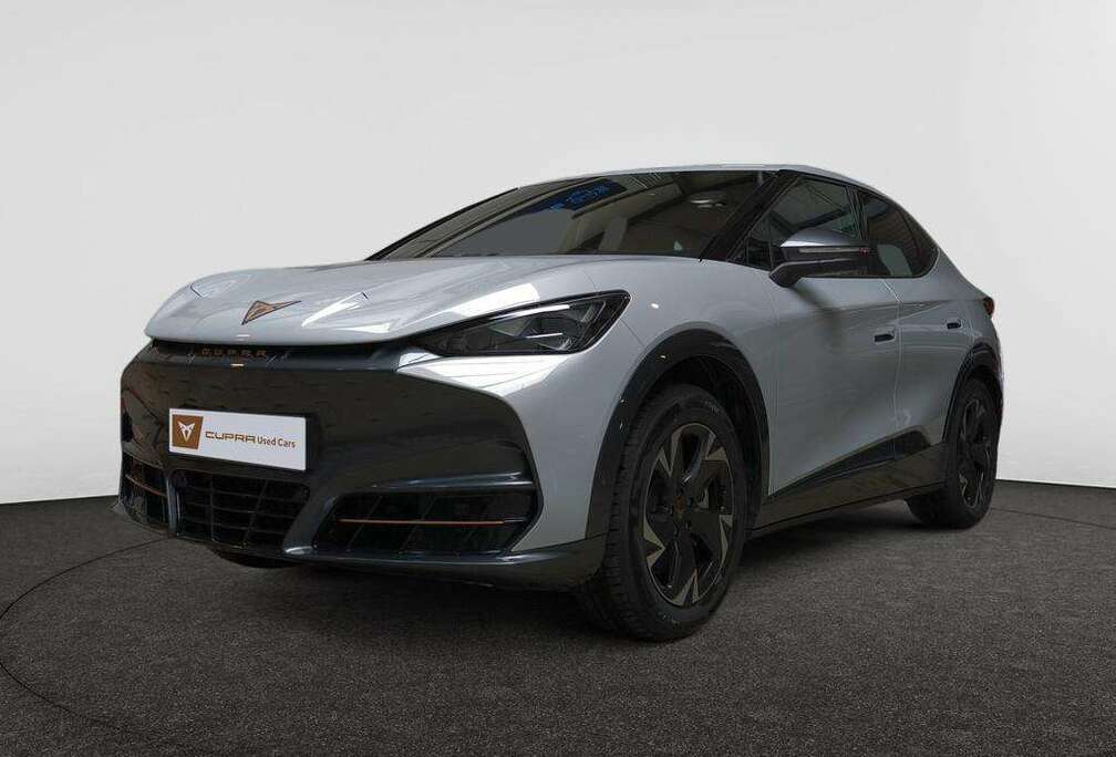 Tavascan Endurance Business 286ch (210kW) v 77 kWh Rear Wheel Drive