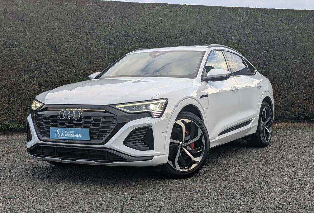 Audi Sportback -2x S-line-89 kWh- opendak-head up