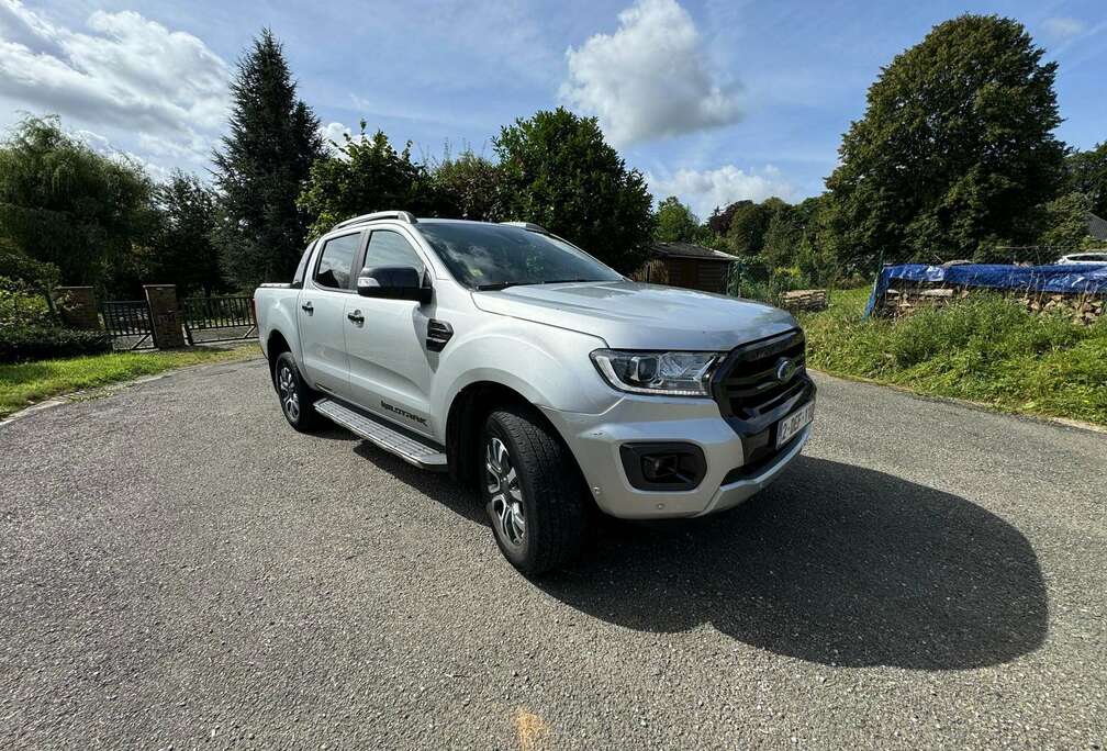 Ford 2.0 BiT EcoBlue Wildtrak (EU6.2)