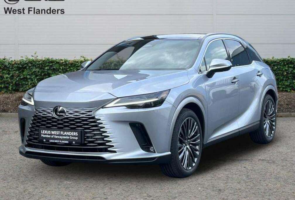 Lexus Privilege Line + Open Roof