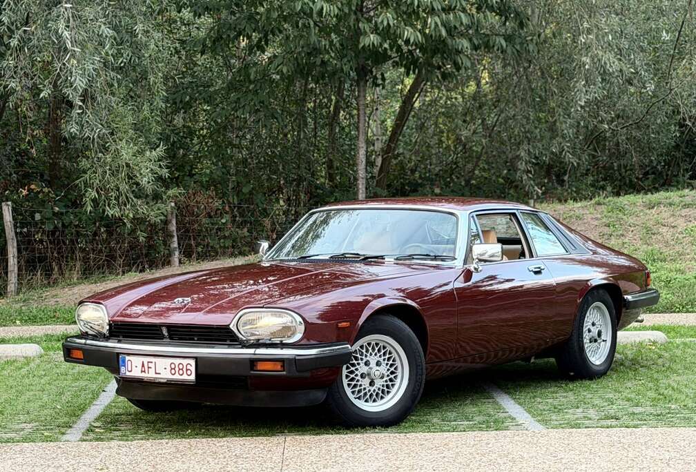 Jaguar V12