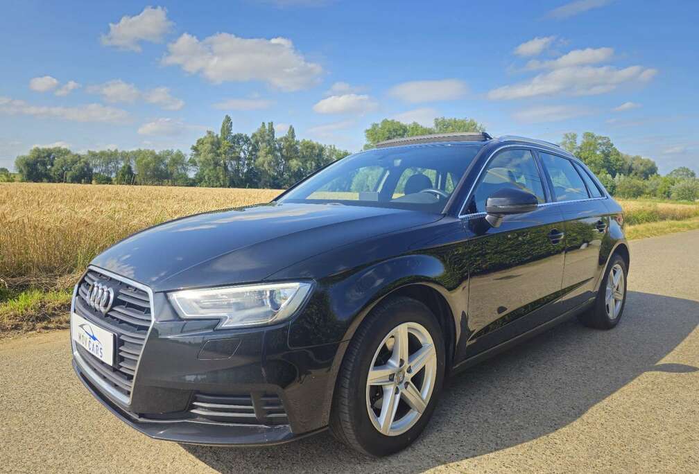 Audi Panoramique