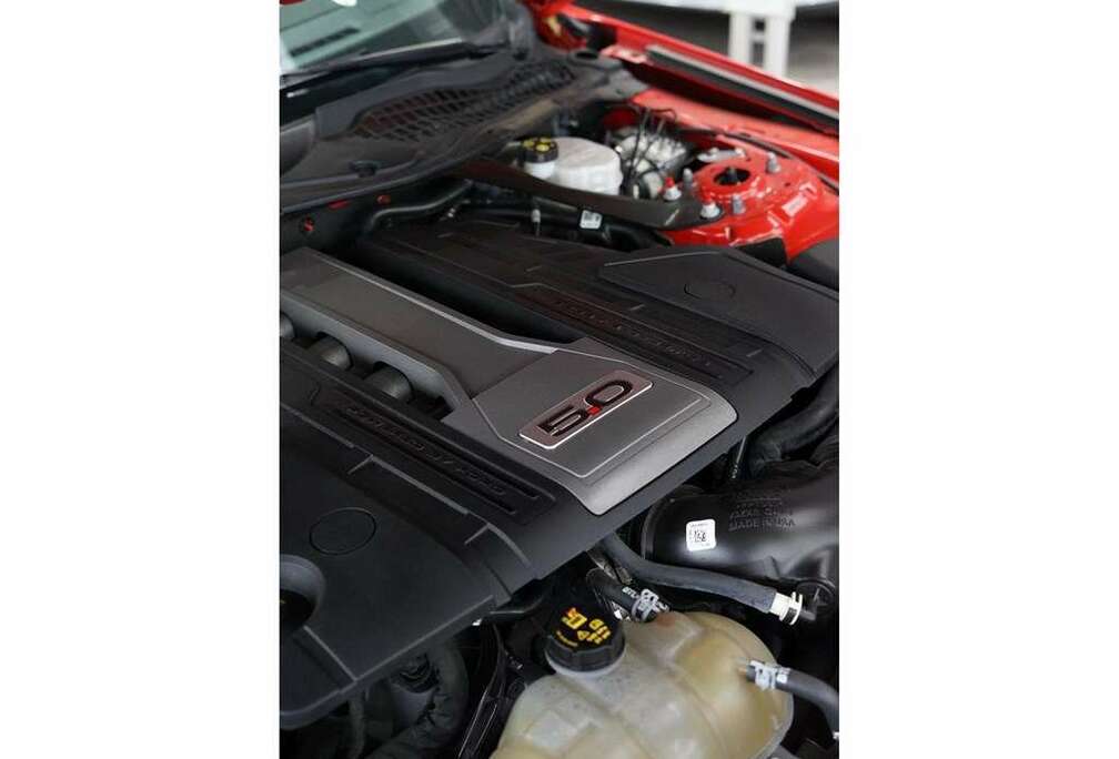 Ford 5.0Ti V8 GT Cabriolet A10 449cv