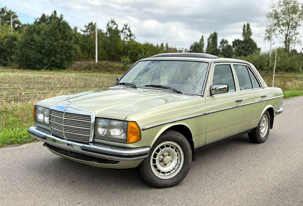 Mercedes-Benz E - W123 - Automaat - Oldtimer