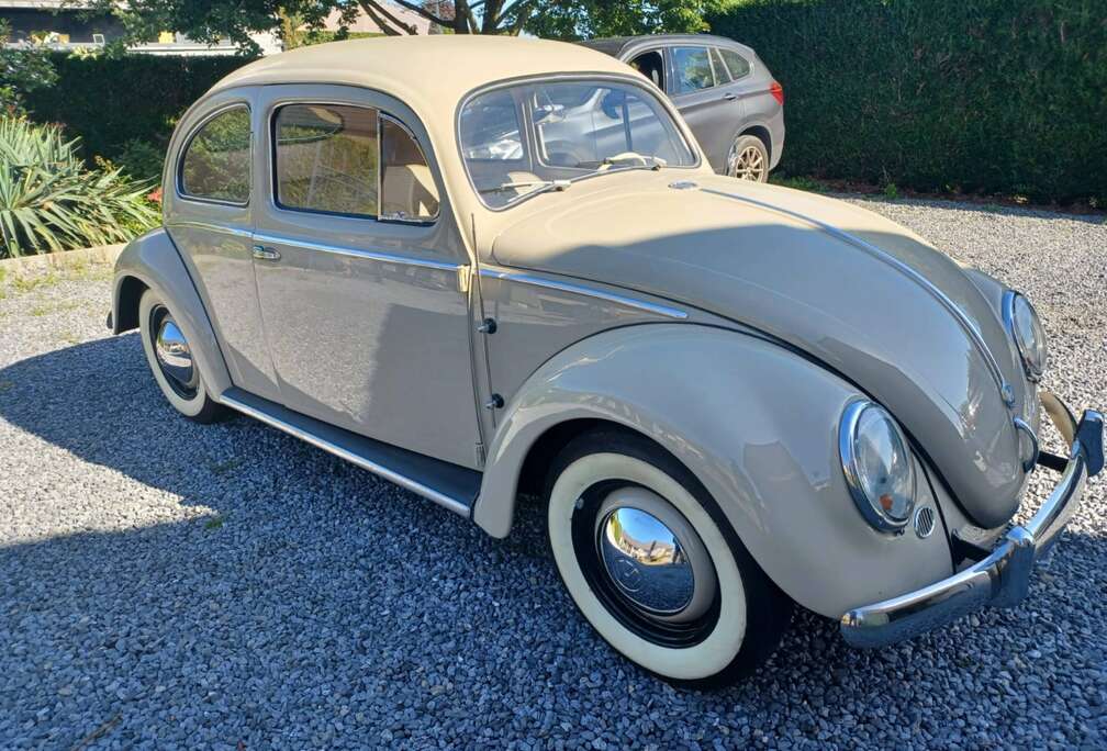 Volkswagen COX OVALE RESTAUREE