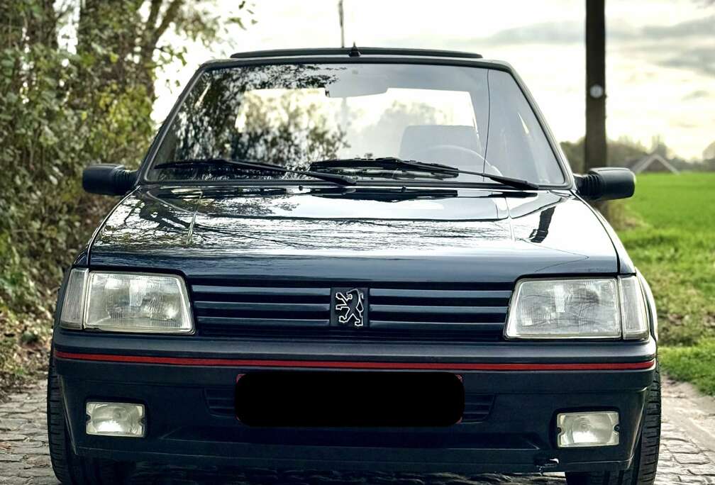 Peugeot 1.9L GTI