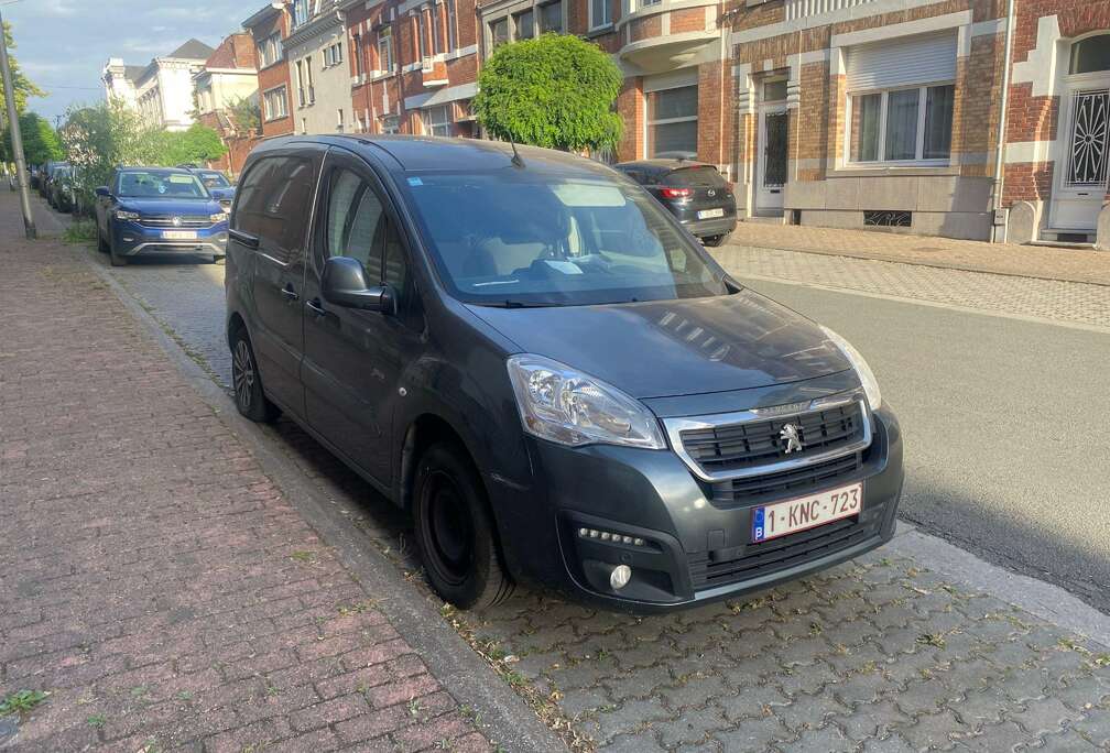 Peugeot 1.6 BlueHDi L1H1 Utilitaire série galicia