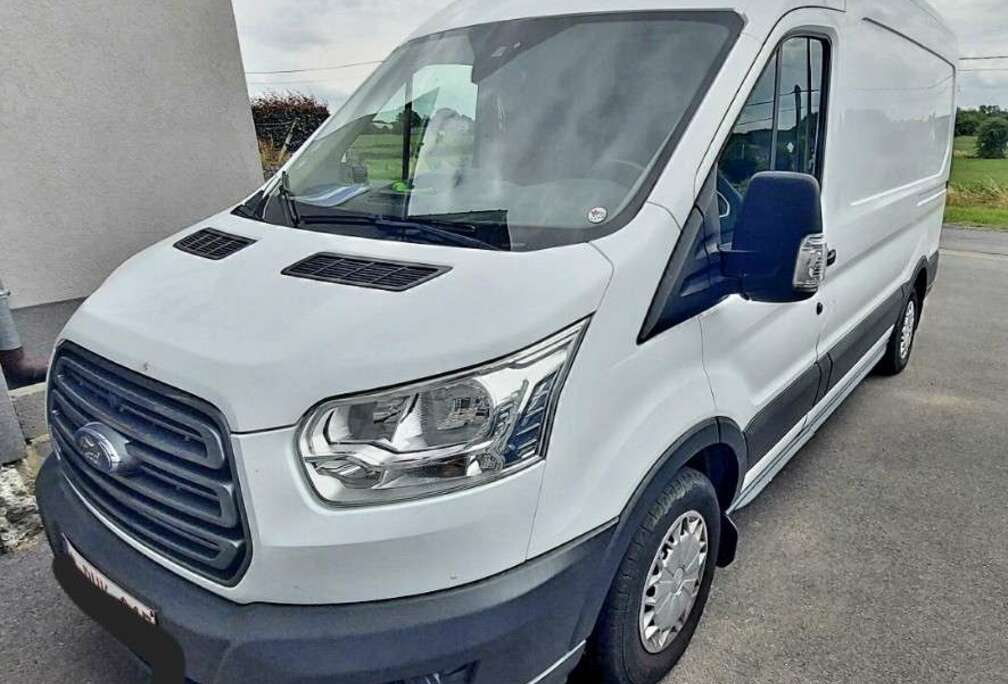 Ford 2.2 TDCi L2H2 Trend Multi-use