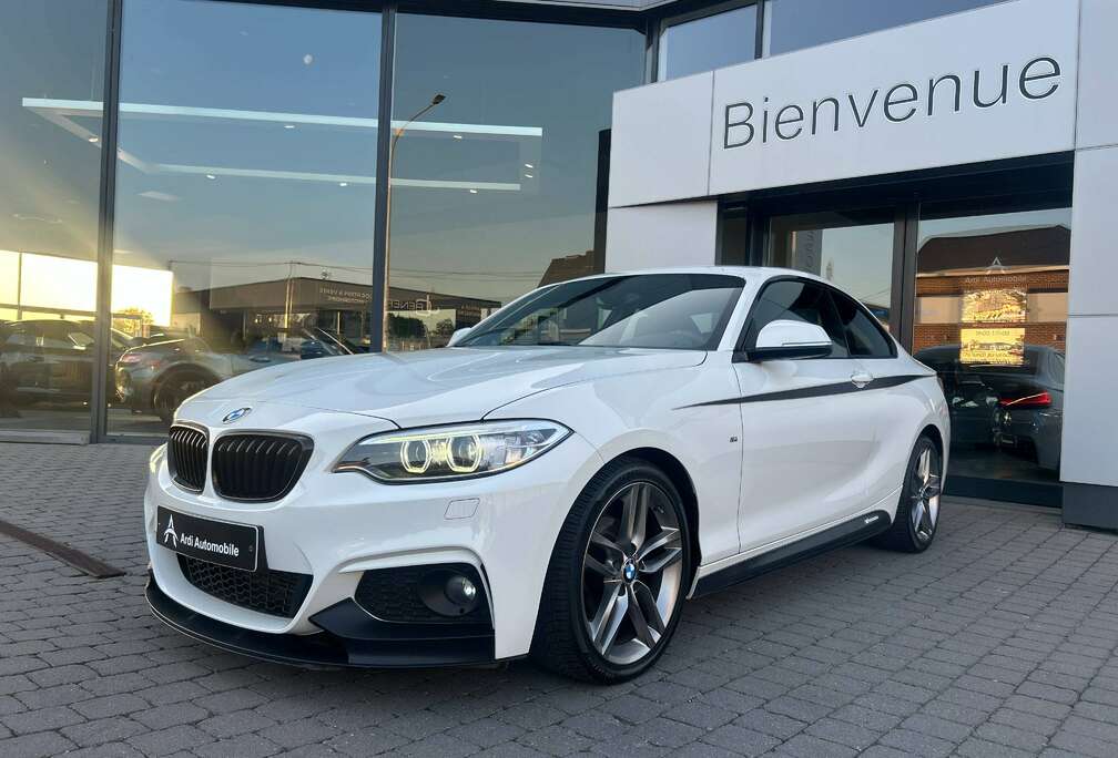 BMW Coupé PACK M PERFORMANCE *GARANTIE*FULL ALCANTARA*LED*