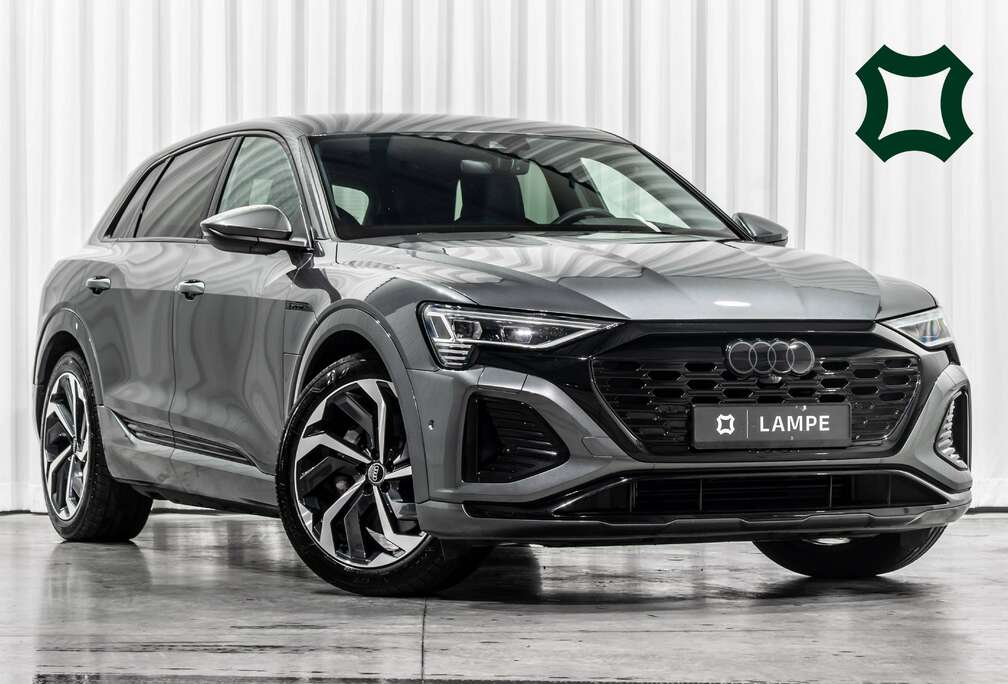 Audi 55 Quattro S-Line Trekhaak Shadow Look ACC