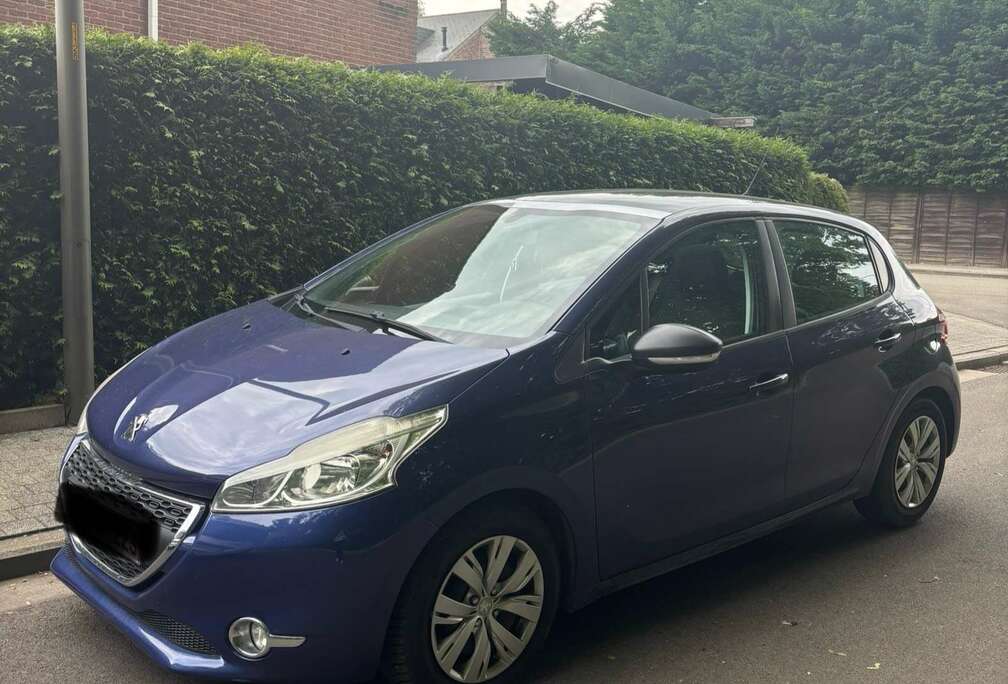 Peugeot Luxery Line