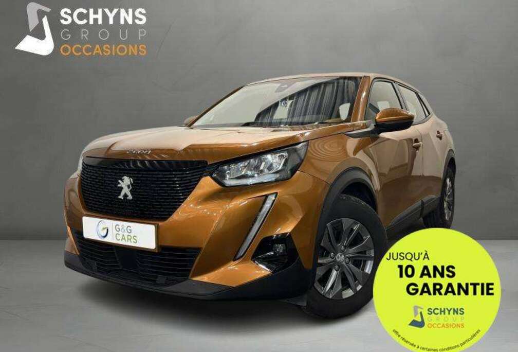 Peugeot Active