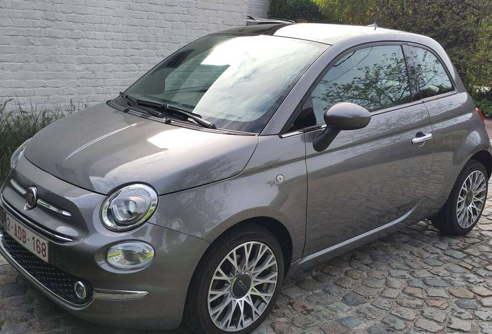 Fiat Ivory/Zwart - Nero Ambiance