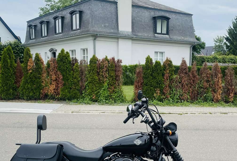 Harley-Davidson Street XG750 -- bouwjaar 2017