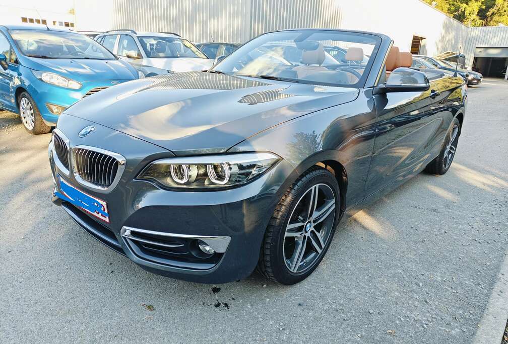 BMW Cabrio 218i