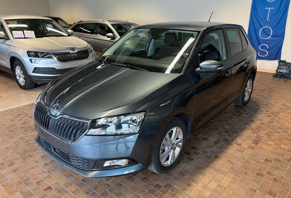 Skoda 1.0 TSI Style DSG (SEULEMENT 8351KM)