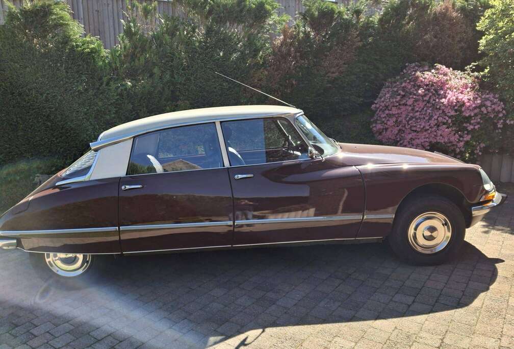 Citroen id