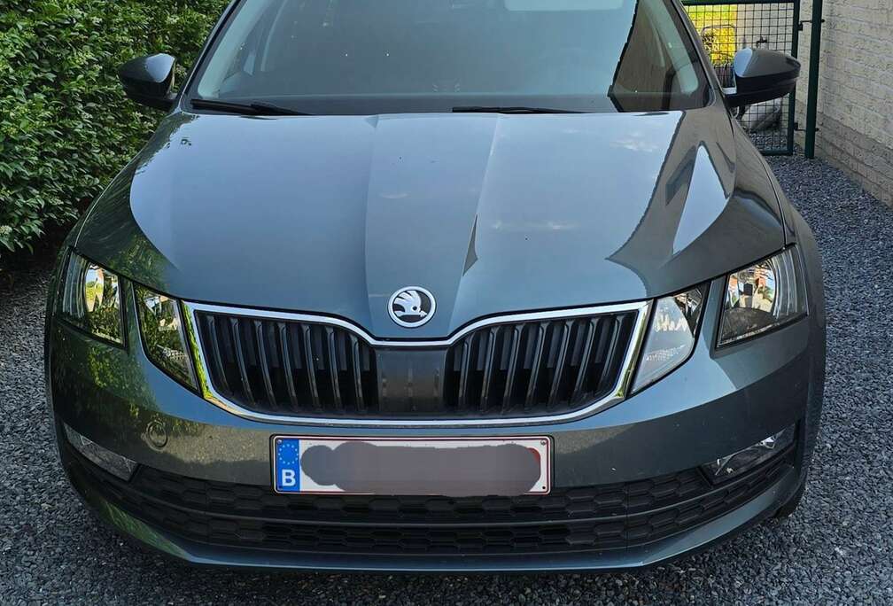 Skoda Combi 1.0 TSI Ambition