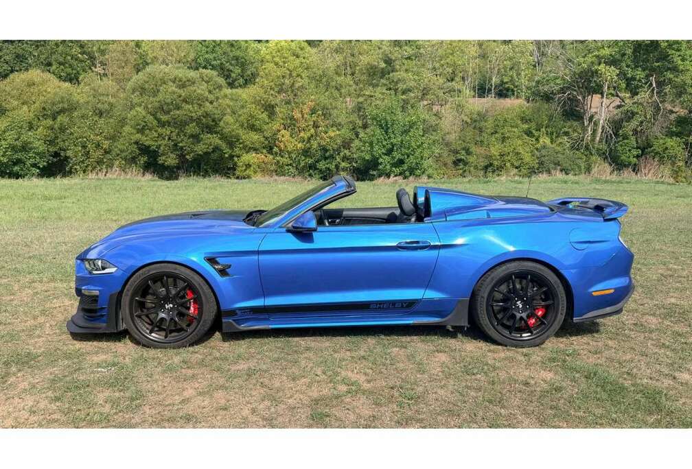 Ford Shelby Super Snake Speedster - 1of 98
