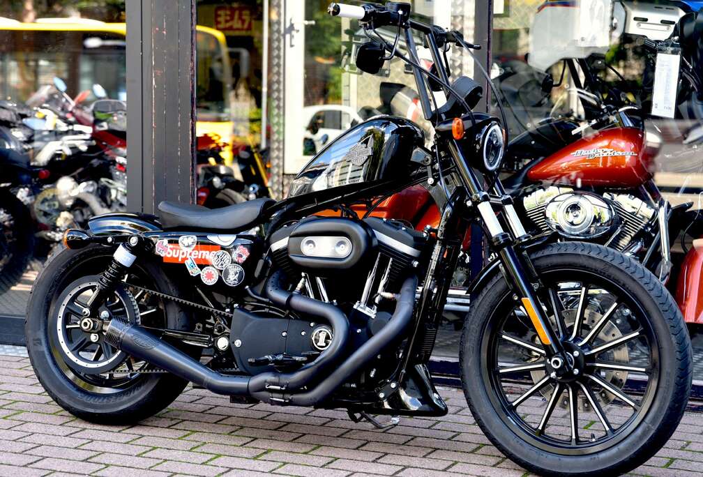 ***MOTO VERTE***