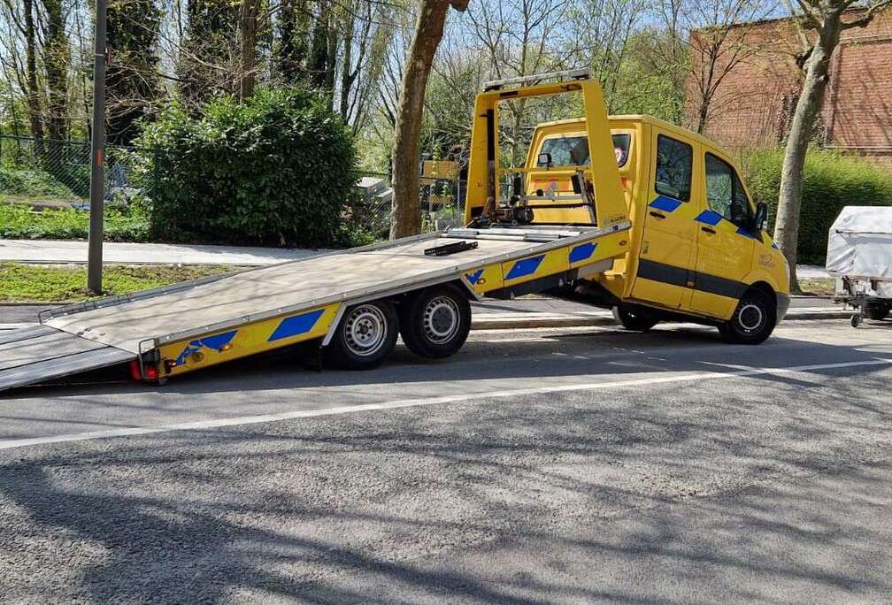 Mercedes-Benz 219 BlueTEC 906.113