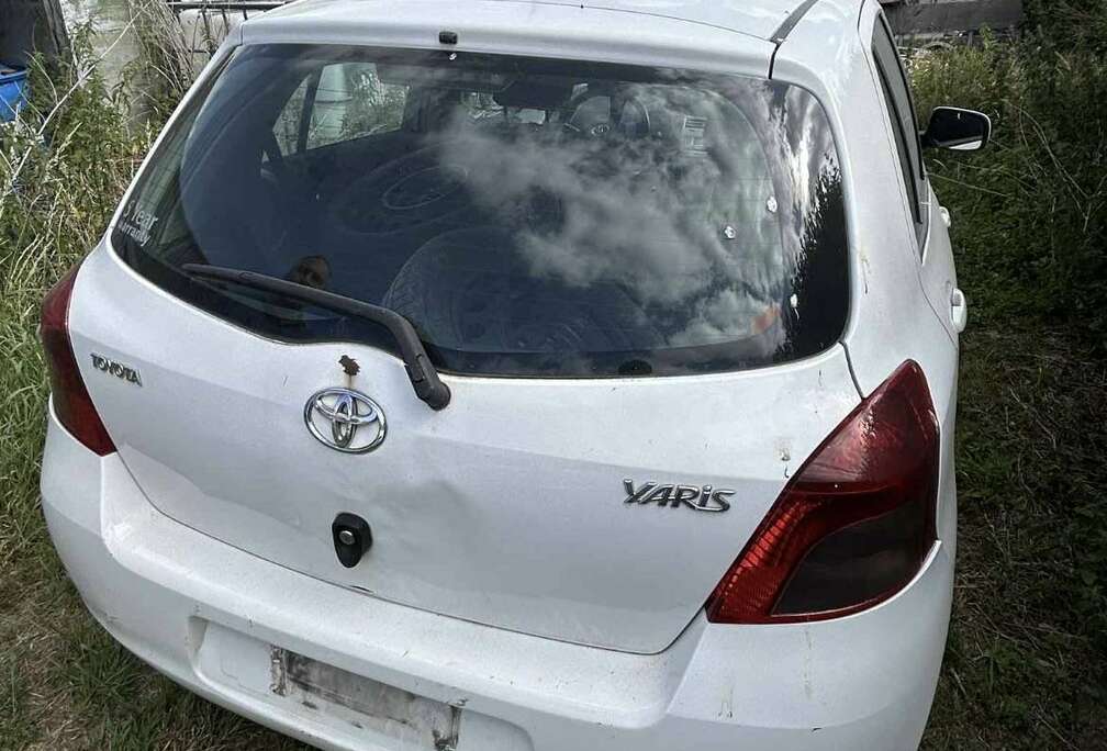 Toyota 1.4 Turbo D4D Terra