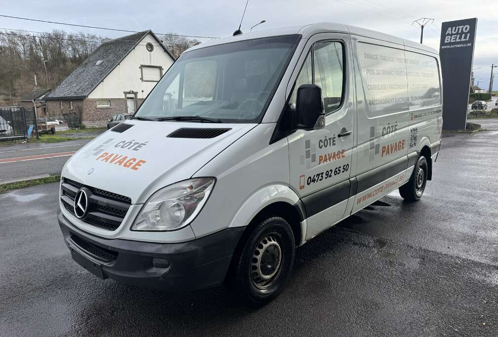 Mercedes-Benz 319 3.0 CDI V6**L2H2**