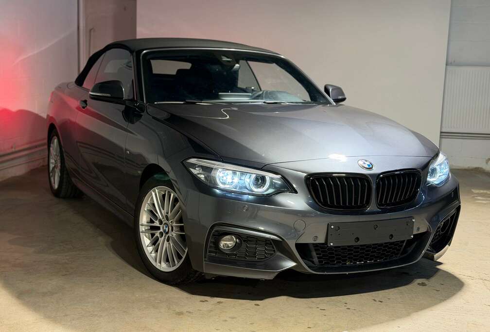 BMW Cabrio 218 dA AdBlue (EU6c)