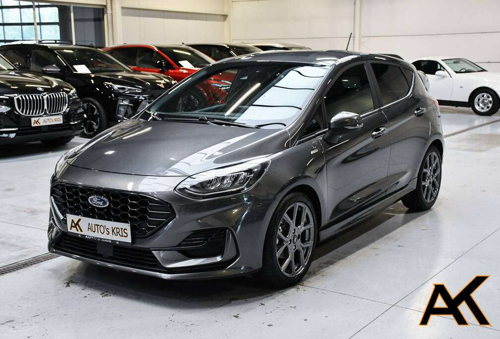 Ford Fiesta 1.0 EcoBoost ST-Line - NAVI SMARTLINK / PDC / CC