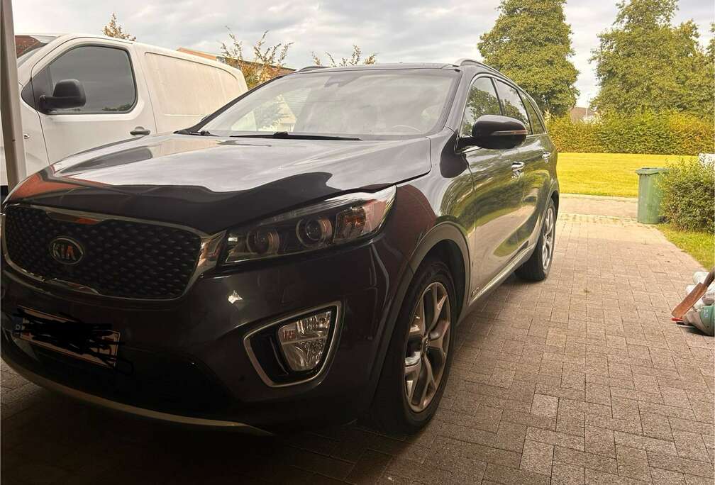 Kia 2.2 CRDi AWD Aut. Platinum Edition