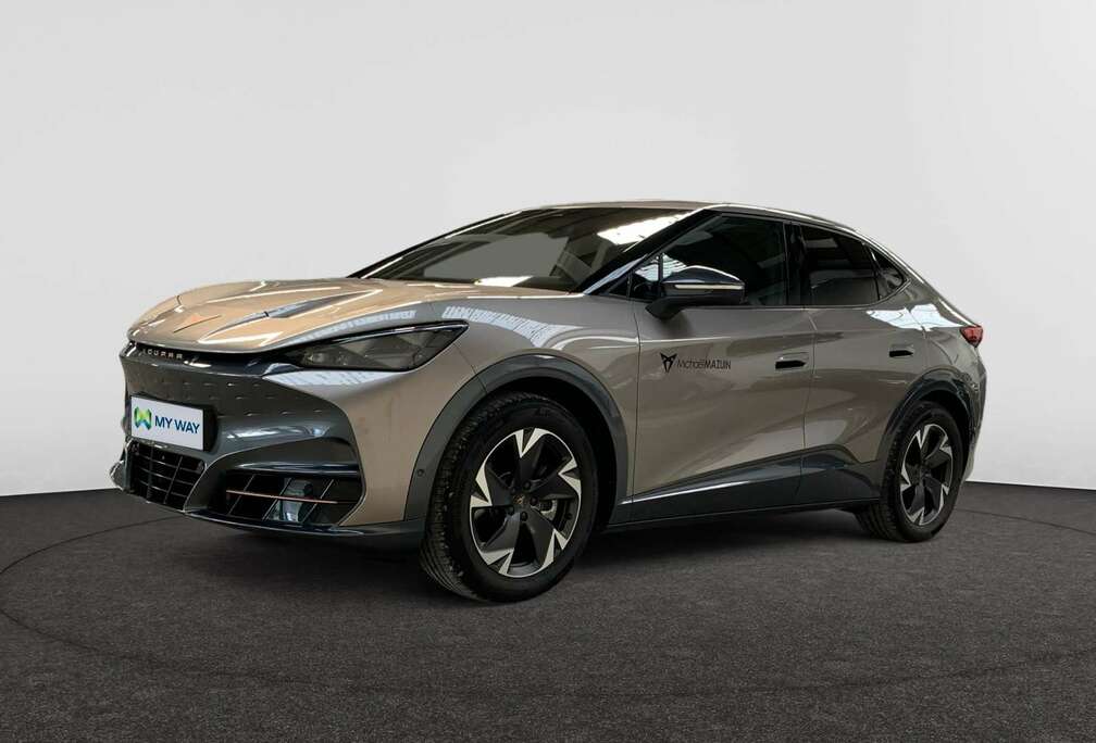 Tavascan Endurance Business 286ch (210kW) v 77 kWh Rear Wheel Drive