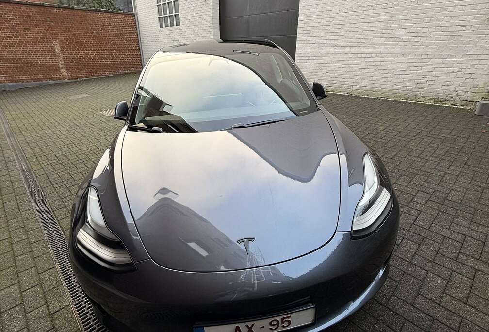 Tesla Standard Reichweite Plus Hinterradantrieb