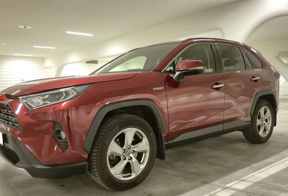 Toyota RAV4 Hybrid HEV 2.5i AWD Premium Plus (Li-ion)